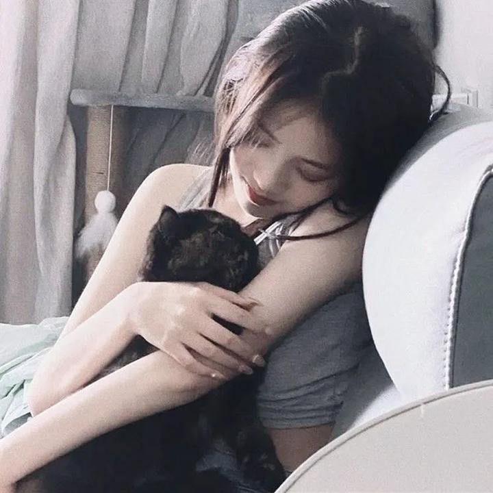全面搜寻圣诞狗狗